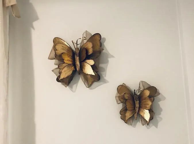 Xenia_apartments A5 公寓